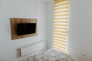 Sjónvarps- og/eða afþreyingartæki á Apartman SREBRNA PAHULJA