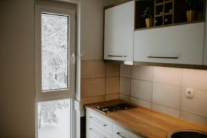 Eldhús eða eldhúskrókur á Apartman SREBRNA PAHULJA