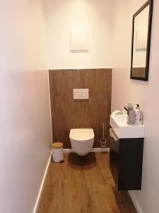 a bathroom with a toilet and a sink at Panorama Alpendorf in Sankt Johann im Pongau