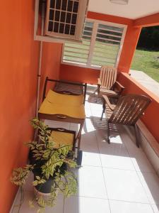 une terrasse couverte avec 2 chaises, une table et quelques plantes dans l'établissement L'échappée belle, à Port-Louis