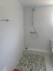 La salle de bains est pourvue d'une douche et de toilettes. dans l'établissement L'échappée belle, à Port-Louis