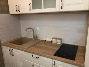 מטבח או מטבחון ב-Apartman Ambijent Divcibare