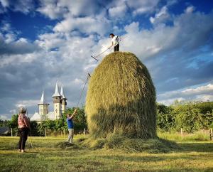 a man standing on top of a pile of hay at Pensiunea Maramu in Breb