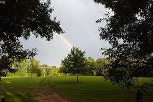 un arco iris en el cielo sobre un campo con un árbol en Cabin 3 - Modern Cabin Rentals in Southwest Mississippi at Firefly Lane en Summit