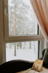 TRI BORA DIVČIGORA en invierno