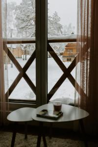 TRI BORA DIVČIGORA en invierno