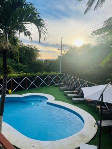 - une piscine avec des chaises longues à côté d'un palmier dans l'établissement Hotel Ocotal Bed & Breakfast, à Ocotal