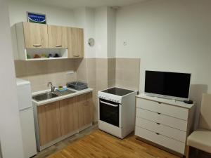 małą kuchnię ze zlewem i telewizorem na ladzie w obiekcie Nina apartman w mieście Donje Mladice