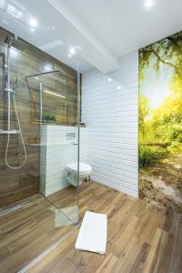 a bathroom with a shower with a toilet and a painting at Apartament w Centrum Ostróda in Ostróda