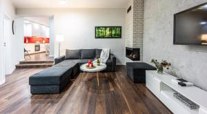 a living room with a couch and a fireplace at Apartament w Centrum Ostróda in Ostróda