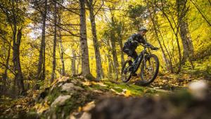a man riding a bike on a trail in the woods at Hotel Le Must in Saint-Marc-des-Carrières