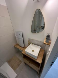 a bathroom with a sink and a mirror at Les Embruns, océan et centre ville à pied in Capbreton