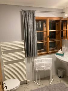 a bathroom with a toilet and a sink and a window at Appartement Schankwirtschaft in Pfronten