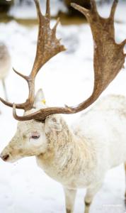 Gallery image of More Guesthouse in More