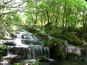 Paesaggio naturale nelle vicinanze del ryokan