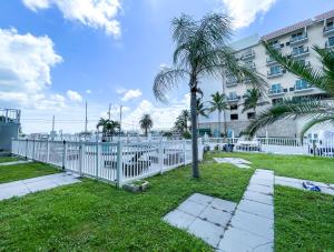 a palm tree in front of a white fence at Sunrise Resort Motel South in Clearwater Beach
