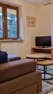 TV a/nebo společenská místnost v ubytování PRESTIGE PARK apartament z tarasem i parkingiem