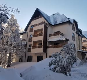Apartman Pinewood Divcibare during the winter