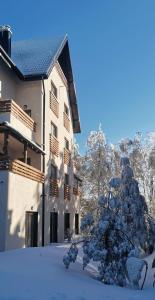 Apartman Pinewood Divcibare during the winter