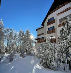 Apartman Pinewood Divcibare during the winter