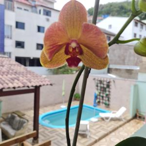 - la fermeture d'une fleur devant une piscine dans l'établissement Beira Mar Hostel, à Florianópolis