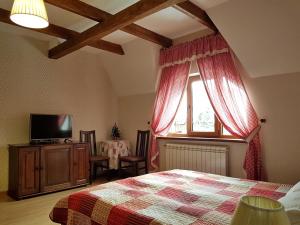 a bedroom with a bed and a tv and a window at Zelena Sadyba in Turichki