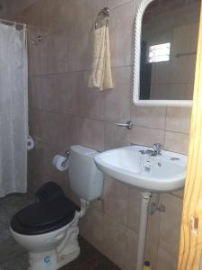 a bathroom with a toilet and a sink and a mirror at Casa del monte, en cercanía de arroyo y balneario in Puerto Rico +29 photos