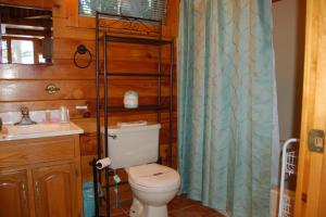 a bathroom with a toilet and a shower curtain at Loons Nest Cottage in Standish