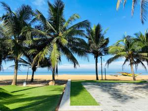 a path to the beach with palm trees and a plane at Golden Star Beach Hotel in Negombo