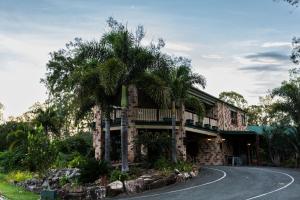 a house with a palm tree next to a road at The Bearded Dragon Boutique Hotel in Mount Tamborine