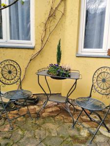 duas cadeiras e uma mesa com um vaso de plantas sobre ela em Šomin Lagum Vila em Sremski Karlovci