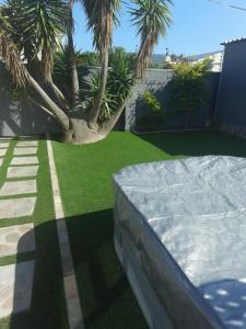 a bed in a yard with palm trees and grass at Stukkie Cottage in Hermanus