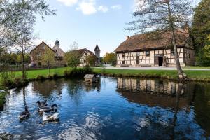 eine Gruppe von Enten im Wasser vor einem Gebäude in der Unterkunft Ferienhaus Talblick in Fladungen