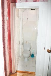 een badkamer met een wit toilet in een kamer bij Гоголя 14 а in Dnipro