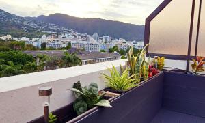 a balcony with plants and a view of a city at L'Appartement en Haut in Saint-Denis