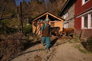 Hosté ubytování Zostel Dobhi, Manali