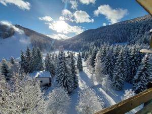 vistas a una montaña cubierta de nieve con árboles en Rifugio Di Pace en Folgaria