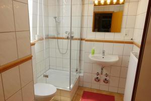 a bathroom with a shower and a toilet and a sink at Campus Apartment Martin in Dresden