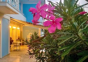 Сад в Stratos Hotel
