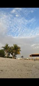 a beach with palm trees and umbrellas on it at فيلا بمسبح خاص درة العروس in Durat  Alarous