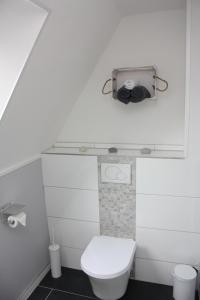 a bathroom with a toilet and a camera on a shelf at Haus Lebenswert, Ferienhaus in Schneverdingen +22 photos