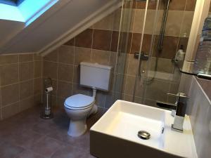 La salle de bains est pourvue de toilettes, d'une douche et d'un lavabo. dans l'établissement B&B Villa Altero, à Pünderich