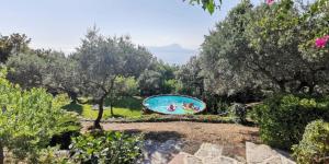 einen Pool inmitten eines Gartens mit Bäumen in der Unterkunft Villa Carmelina - Cersuta di Maratea in Maratea