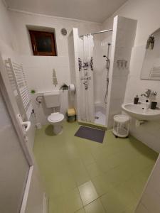 a bathroom with a toilet and a shower and a sink at Penzion Emílie in Jeseník