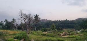 Un paisaje natural cerca de la pensión