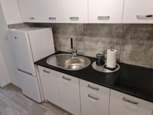 a kitchen with a sink and a refrigerator at Apartament Nova przy S3 in Nowa Sól