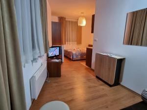 バンスコにあるBanskoSuperSkiのテレビのあるリビングルームと寝室