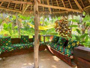 Zahrada ubytování Kingstone lodge zanzibar