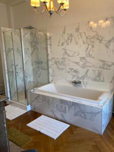 a bathroom with a shower and a bath tub at Chateau Du Landin in Le Landin
