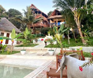 Zahrada ubytování Kingstone lodge zanzibar